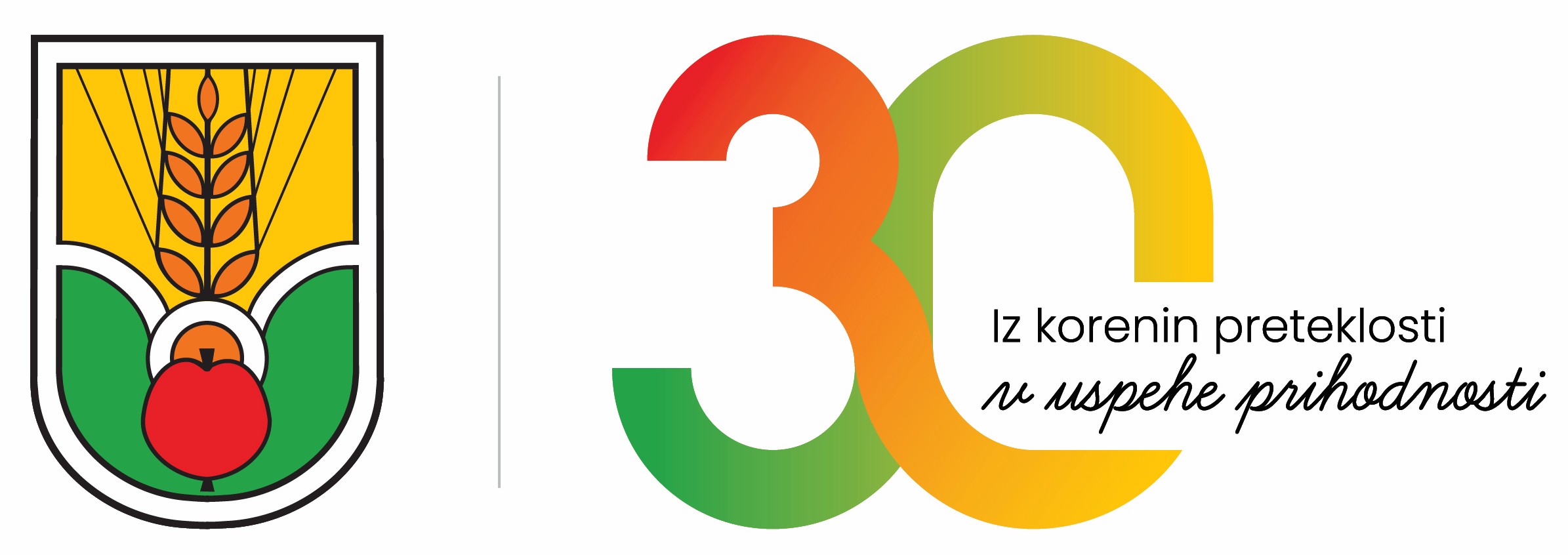 Logo 30 - barven